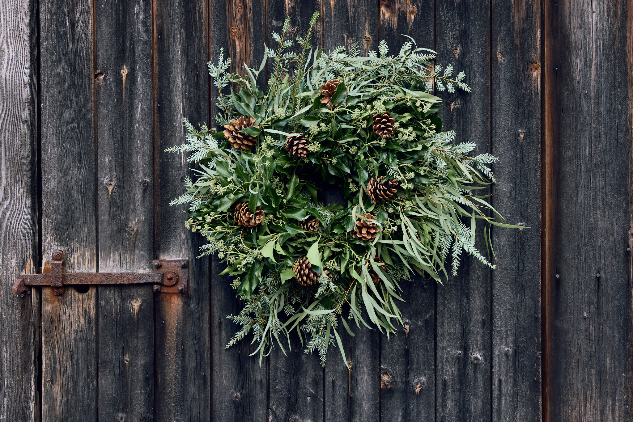 Wren Foliage handmade wreath